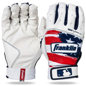 tN FRANKLIN obeBOO[u(p) CLASSIC XT 싅 obeBO  obe ob v 22AW(21065) 21065zCg×lCr[×bh STCY