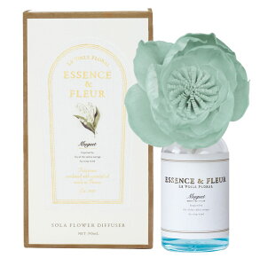 A[g{RNV EHEt[ \t[fBt[U [hfBt[U[ (~Q)