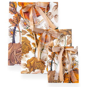 Lois Pique bsO  MtgobO [Y  3    񂰑 v[g Mtg  (A IW)