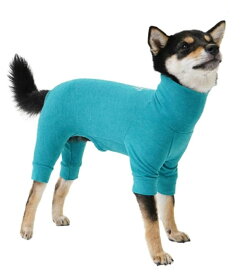 MANDARINE BROTHERS マンダリンブラザーズ SKIN TIGHT SUIT スキンタイトスーツ 犬用インナーウェア (S, TURQUOISE)