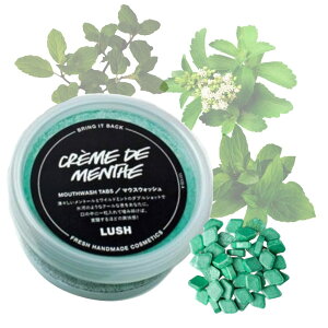 LUSH bV creme de mnenthe N[h}g }EXEHbV gD[Xy[Xg^ubg p^ubg  ̃PA zCgjO ZtzCgjO L \h