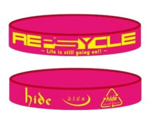 hide X JAPAN Memorial Day 2025 hide with Spread Beaver "REPSYCLE" `Life is still going on!!` ObY o[oh