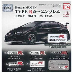 gCYLr Ho*n*da/MUGEN TYPE RJ[Gu^L[z_[RNV × S6Zbg tRv K`K` JvZgC