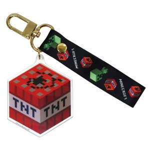 PCJpj[ Minecraft ANL[`F[