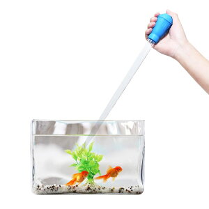 X|Cg (e50ml)   TCY  N[i[ Eẗړ  a [UTK Usagi To Kame]