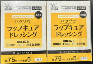 y܂ƂߔznN]EfBJ nیpzpbh nN]E bvLAhbVO No.75 75mmx5m y2Zbgz