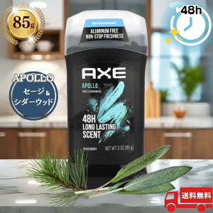 AXE APOLLO AbNX & fIhg 85g A| Z[WV_[Ebh fIhgXeBbN
