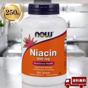 [250��] Now Foods(�i�E�t�[�Y) Niacin �i�C�A�V�� 500mg ��̓� �z���C�g�f�[