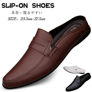 T_ {v v n[t Xbp Y T{T_ K ʋC JV AEghAT_ U[T_ JWAT_ RtH[g Xb|T_ j vC l y