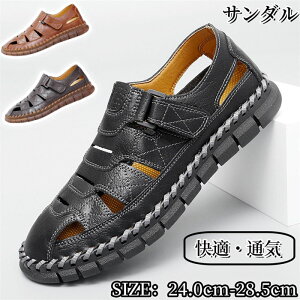 X|[cT_ Y T_ v r[`T_ T}[ RtH[gT_ JWA y ₷ ʋC  傫TCY 24.0cm`28.5cm@AEghA ėp  l