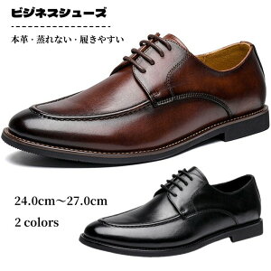 YC rWlXV[Y U[V[Y {v amC vC tH[} hXV[Y |CebhgD jp K JWA CR  RtH[gV[Y Ռz AE 