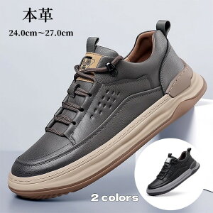 fbLV[Y {v Y Xj[J[ U[V[Y [JbgV[Y jC ₷ Ȃ AEghA JWAV[Y RtH[gV[Y l ʊw ʋ t  H ~