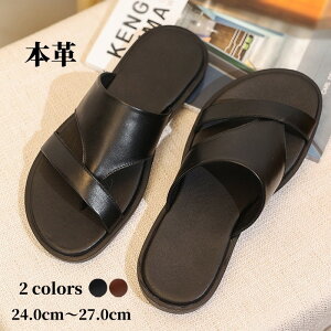 {v gOT_ Y U[T_ I[vgD Eɕ֗ y h _ LXgbv r[`T_ AEghA i  r[` C l j _炩₷ JW