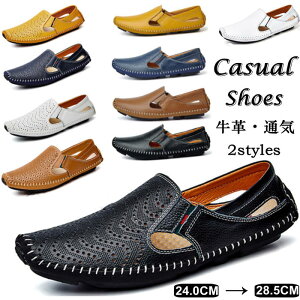 JVV[Y T_ U[V[Y YC v hCrOV[Y [t@[ AEghAJWAV[Y [Jbg RtH[gV[Y ʋC vC jC l 