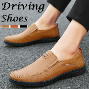 JVV[Y U[V[Y YC {v v hCrOV[Y [t@[ AEghAJWAV[Y [Jbg RtH[gV[Y ʋC vC Ȑ jC l 