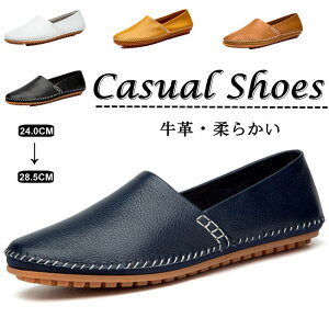 JVV[Y U[V[Y YC {v v hCrOV[Y [t@[ AEghAJWAV[Y [Jbg RtH[gV[Y vC Ȑ jC l ʋ 