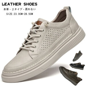 {v v U[V[Y YC hCrOV[Y AEghA JWAV[Y [Jbg RtH[gV[Y [XAbv V[Y m[}^Cv ʋC vC Ȑ j