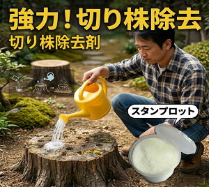 ���i�摜
