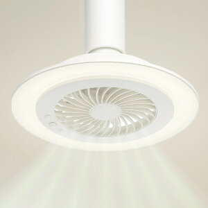�l���Z���T�[���� LED�V�[�����O�t�@�����C�g HLCF-S190 ���� ���F �����R���t��
