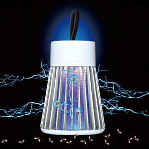 [ddC̃RoGƂ ACA_v^[t