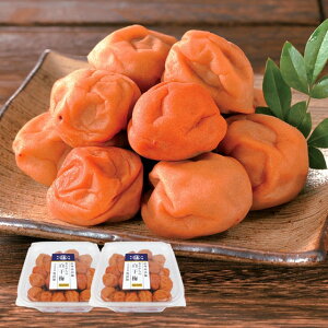 IB썂~pY~ ~ 1kg 500g×2pbN