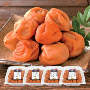 IB썂~pY~ ~ 2kg 500g×4pbN