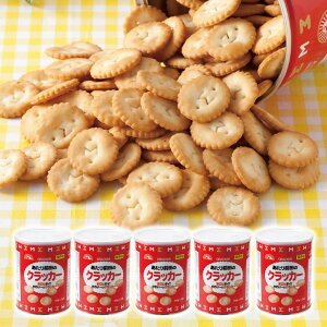 Oc̃NbJ[ ۑʃ^Cv 135g×5 hV hV̓