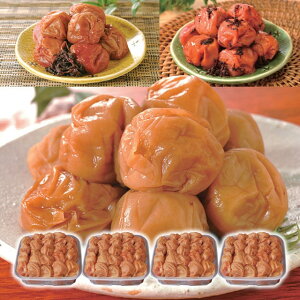 IB썂~Ԃ~ ~ 3 3.2kg 800g×4 hV hV̓