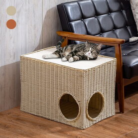ソファサイドキャットハウス 隠れ家 猫 爪とぎ 多頭飼う 猫箱 二層 耐久 小中型猫 敬老 敬老の日