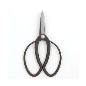 | ؂낱с@YCS3@nv yElR|XΉEsz