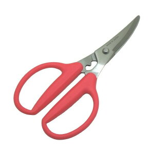 쏊@Jj`L Lb`΂ JjނyElR|XΉEsz