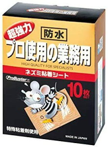 yz SHIMADA@ vgp̋Ɩp lY~SV[g10