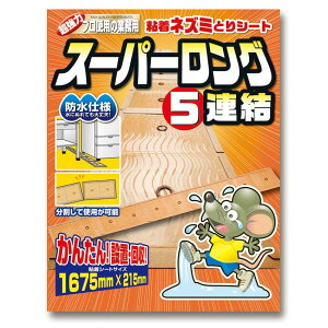 yz SHIMADA@ vgp̋Ɩp SlY~ƂV[g X[p[O5A