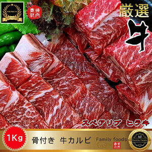 Ⓚ ēp t Jr qL 1kgy2pbNz / tJr XyAu t XyAu  u t / XyAu/BBQ/o[xL[ XyAu 