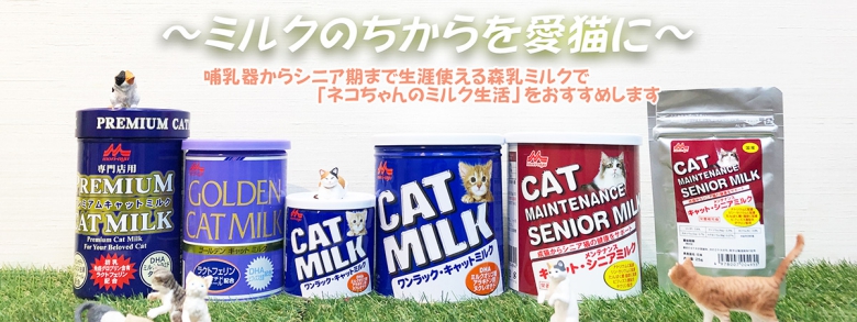 お金を節約森乳サンワールド ワンラック ゴールデンキャットミルク ミルク 130g 猫用 キャットミルク (78103006)  キャットフード・サプリメント