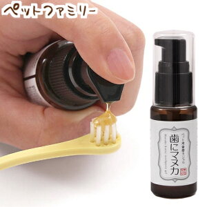 ő400~OFFN[|tby VROZ ybgpWF Ƀ}kJ 30g (71205023)yzkCEE͏