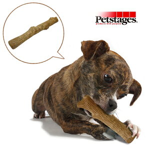 ő400~OFFN[|_bhEFC DADWAY Petstages EbfB[E^tEXeBbN X[ (41100407)