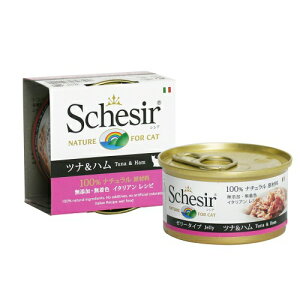 299~OFFN[|111:59t@^W[[h VVA Lbg cin 85g (64605342)