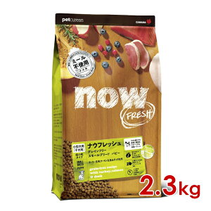���ő�400�~OFF�N�[�|�����O���[�o���y�b�g �i�E�t���b�V�� NOW FRESH DOG �O���C���t���[ �X���[���u���[�h �p�s�[ 2.3kg �i20300188�j