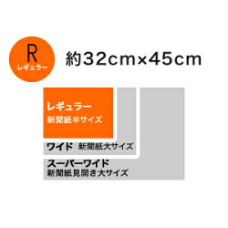 コーチョー日本製業務用ペットシーツ中厚型レギュラー100枚(28601055)