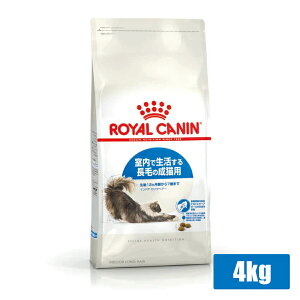 CJi FHN ChA OwA[ Ő钷т̐Lp 4kg (52905128) ll4܂ [L Lbg hCt[h]