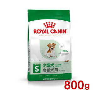 ő400~OFFN[|CJi SHN ~j GCWO12+ 800g (52901125) ll5܂ [ hbO hCt[h]