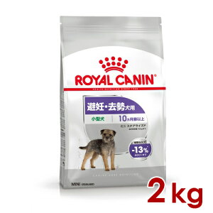 CJi CCN ~j XeACYh 2kg (52901205) ll5܂ [ hbO hCt[h]yzkCEE͏