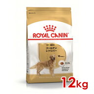 ロイヤルカナン BHN ゴールデンレトリバー 成犬〜高齢犬用 12kg (52902086) ※お一人様5個まで [犬 ドッ…