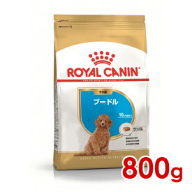 【セール】賞味期限:2025/09/04◆ロイヤルカナン BHN プードル 子犬用 800g (w5290118) ※お一人様5個まで [犬 ドッグ ドライフード]