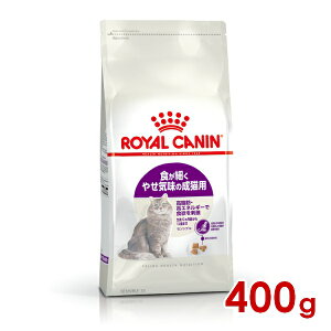 CJi FHN ZVu Hׂ₹C̐Lp 400g (52905084) ll5܂ [L Lbg hCt[h]