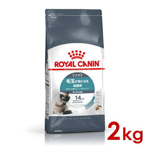 ő400~OFFN[|CJi FCN wA{[PA ыʂCɂȂ鐬Lp 2kg (52905099) ll5܂ [L Lbg hCt[h]