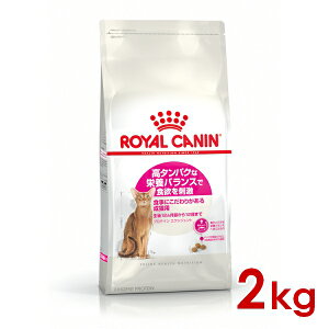 ő400~OFFN[|CJi FHN veC GNVWFg Hɂ肪鐬Lp 2kg (52905121) ll5܂ [L Lbg hCt[h]yzkCEE