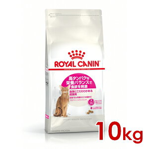 ő400~OFFN[|CJi FHN veC GNVWFg Hɂ肪鐬Lp 10kg (52905123) ll5܂ [L Lbg hCt[h]