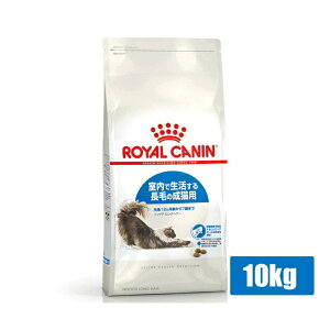 299~OFFN[|111:59CJi FHN ChA OwA[ Ő钷т̐Lp 10kg (52905129) ll5܂ [L Lbg hCt[h]